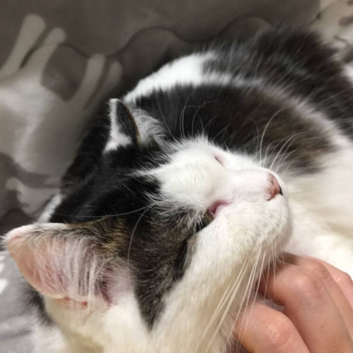 69f7d936 172c 423e 83c4 fd3f366dd065 1514641042614