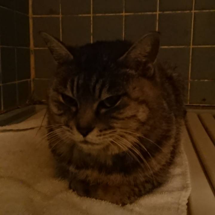 69f7dd34 f0ca 44f9 90b6 4138fa6451b5 1579426472990