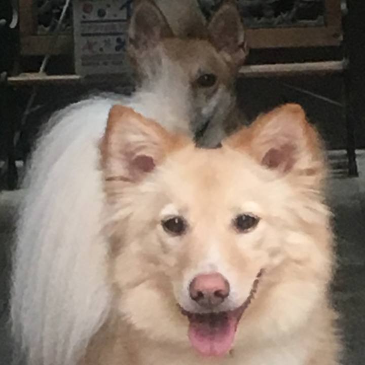 69f7fb36 3c96 4e32 b3a2 266f765934da 1530067516990