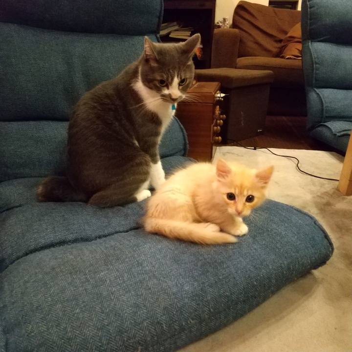 69f80404 880c 4225 891e 010ecf659270 1603023000718