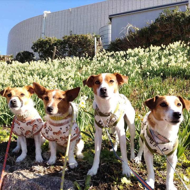 69f82004 7c66 4ee4 9f36 9693642e25ca 1767856188248