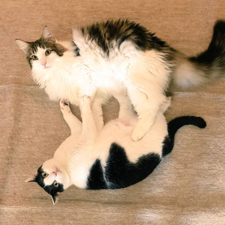 69f84002 a2ab 47aa bfd4 d5f57d13c9fa 1542254203824