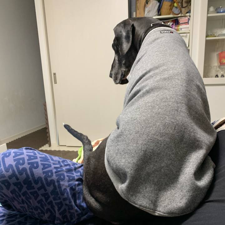 69f88df2 1ea4 4e9f 896c 99ce3b4aed1a 1583582622026