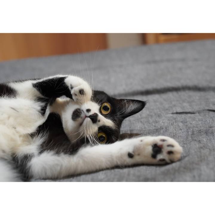 69f890ab 36f7 41cd 9893 f404a4cc9ec8 1658669964864