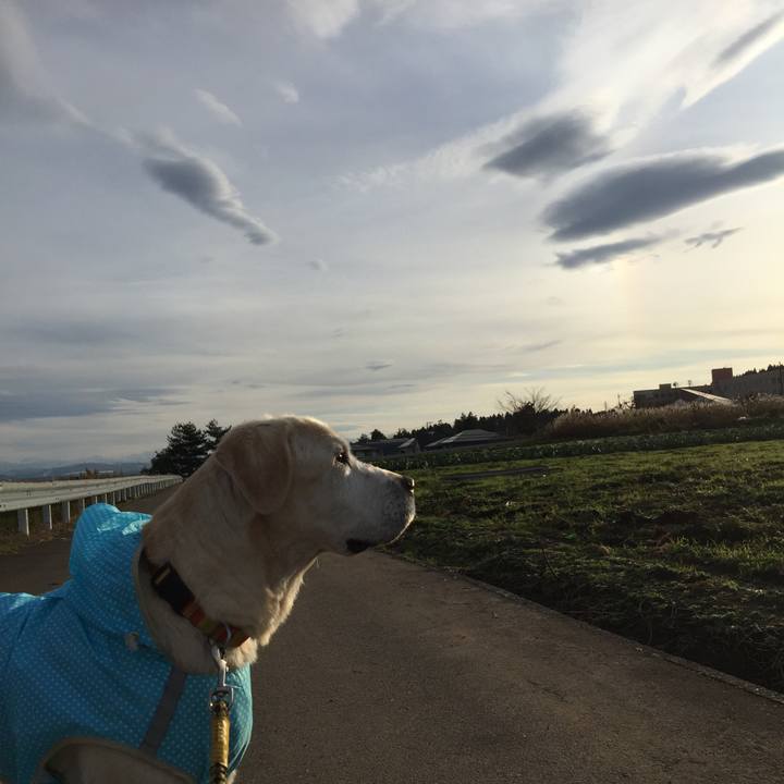 69f8b145 597c 4bf4 8e05 efc4f6275ca6 1571826495774