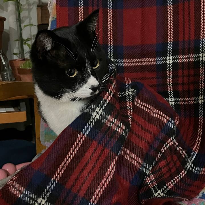 69f8b963 41a0 4cdc 96f1 7468c40afaa9 1741751985161