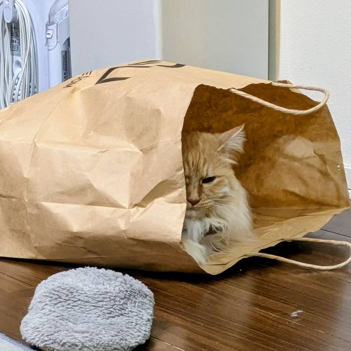 69f8c01c 2f64 4928 b0b3 0f5f3996c3fc 1746101265745