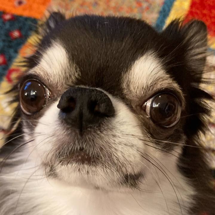 69f8ce5f 2e1f 46fe 9f09 21825f9c6b84 1705793701171