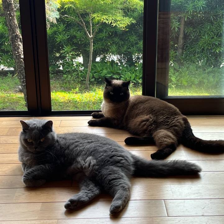 69f8dc99 0493 47d8 bcac 26e6db99d657 1749805978872