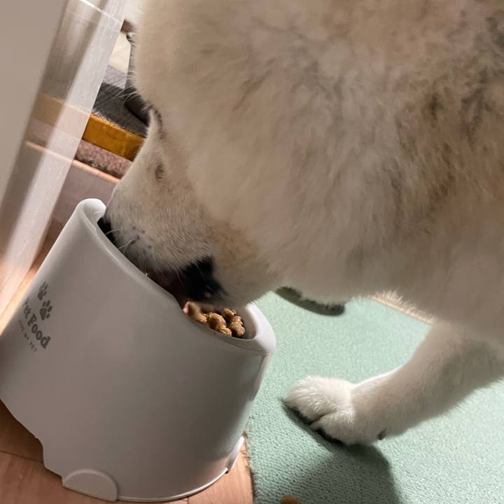 69f92318 11b7 42a5 8a95 a421706aea7d 1732509265769