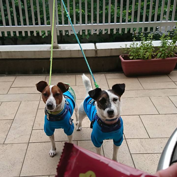 69f933e9 74de 499b 94fa eeef6c3e286f 1560825647924