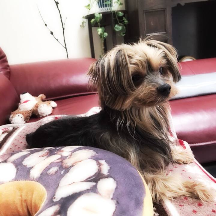 69f960e7 f44a 4d0e 8b49 43104a420e35 1519940694557