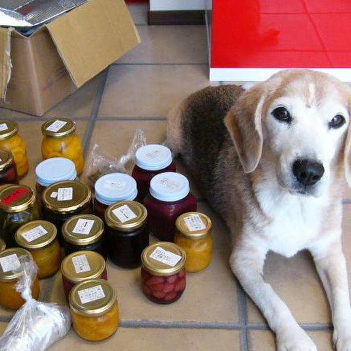 69f970cf 608f 4039 84ed cc8b470da069 1692664257791