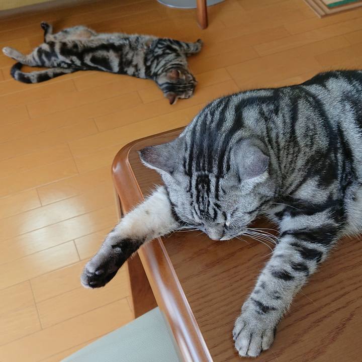 69f9cc91 5168 4497 83bb 5ca9e3940d73 1532933937477