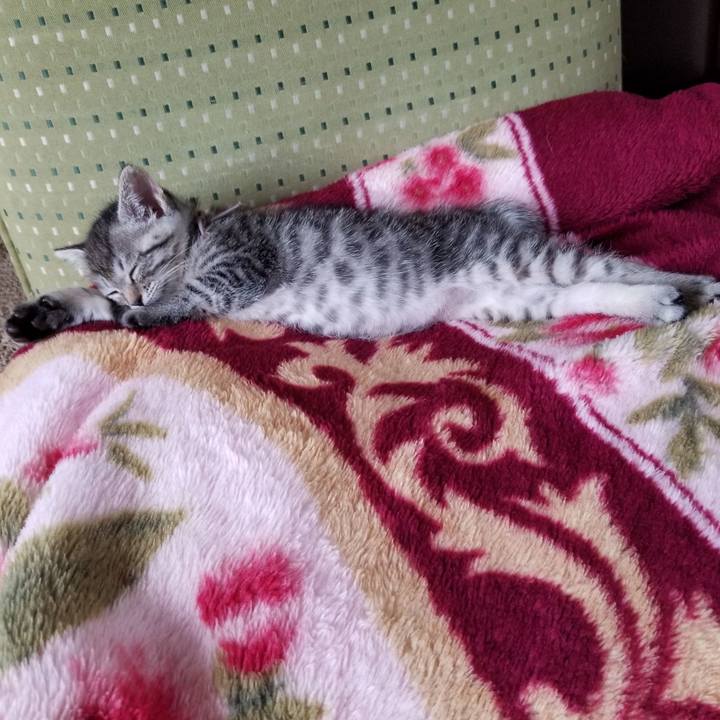 69f9cd17 cb6b 457b bb56 8b98d7ee632e 1661490694305