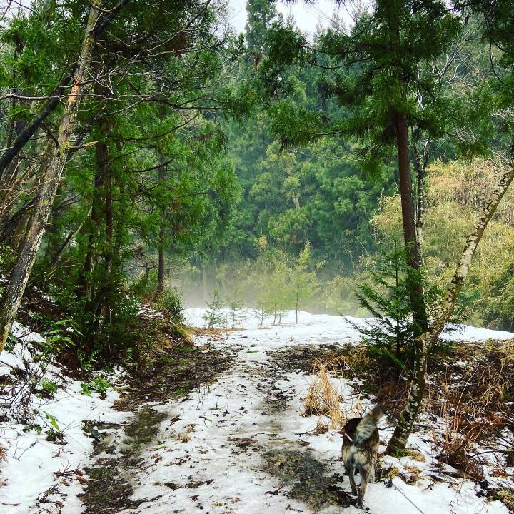 69f9d3bc be66 48ec 8c70 cd7546d28a1a 1611275574490