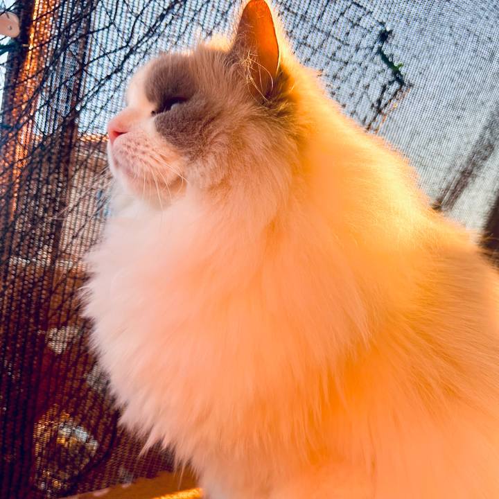 69fa0286 41d5 4b54 ad12 3ad833b205a6 1769668807534