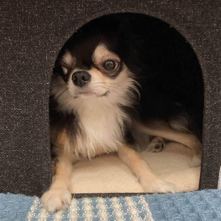 69fa14a6 e222 4e8e b2a0 df092062783a 1680364933646