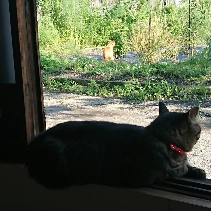 69fa3521 ffd2 4c90 8f37 ee6584564320 1661669656065