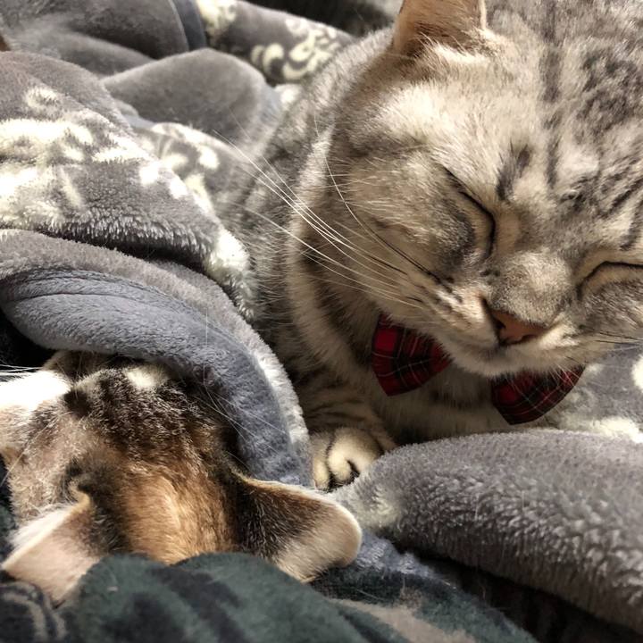 69fa4cae f117 439d 8c8b 94d6204c896d 1583492358892