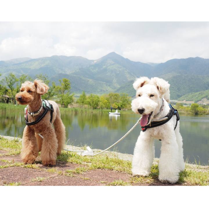 69fa93ca 14f2 4ec5 ae5e 8a5620e30bd7 1557177787462