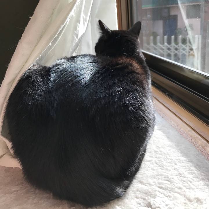 69fa9ecc 3815 4a42 866d e26a122748b0 1520126123386