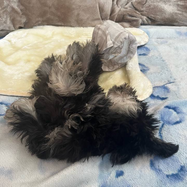 69facb4d 9ff7 4075 ba84 2f3ecd186228 1765622438376