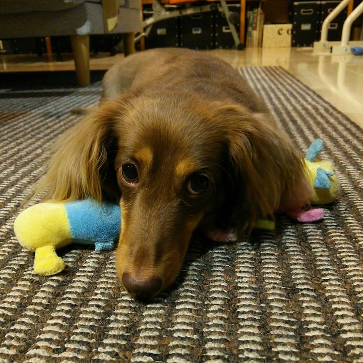 69fb1c7f 1461 4fe3 b26e 2c7775025b89 1532706615620