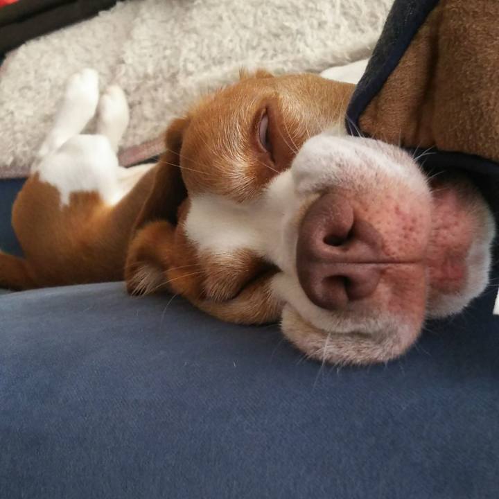 69fb292b fc92 4580 acc4 b24a93865b25 1628140671484