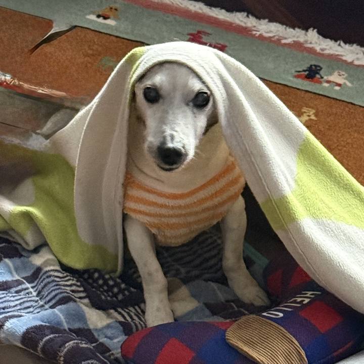 69fb48eb 3785 40af a3bf d7ad9e1815a9 1774189664291