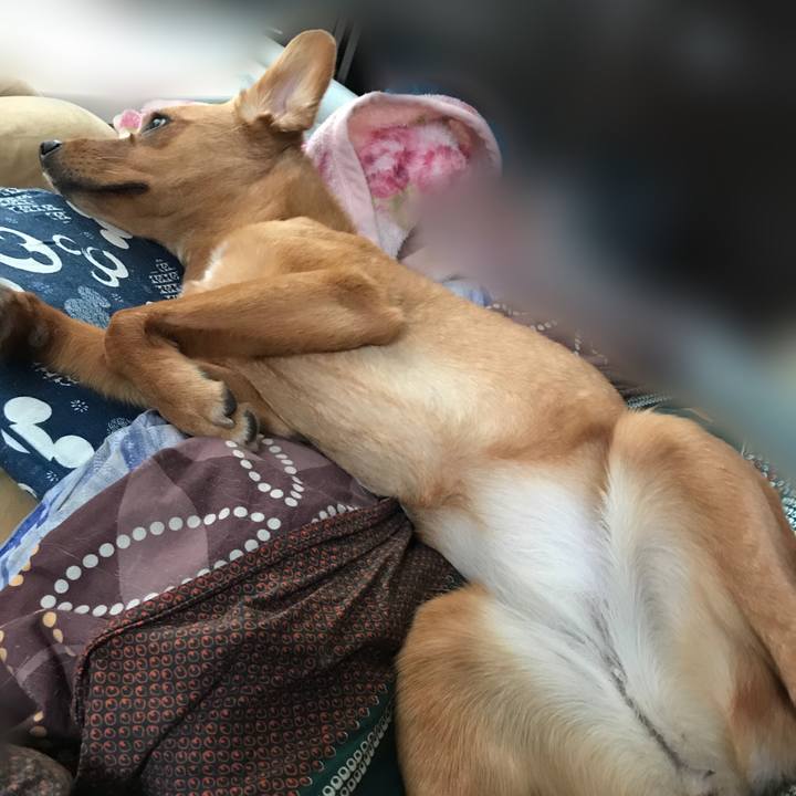 69fb898c f61f 408d a3df e973b4504aa0 1524746455947