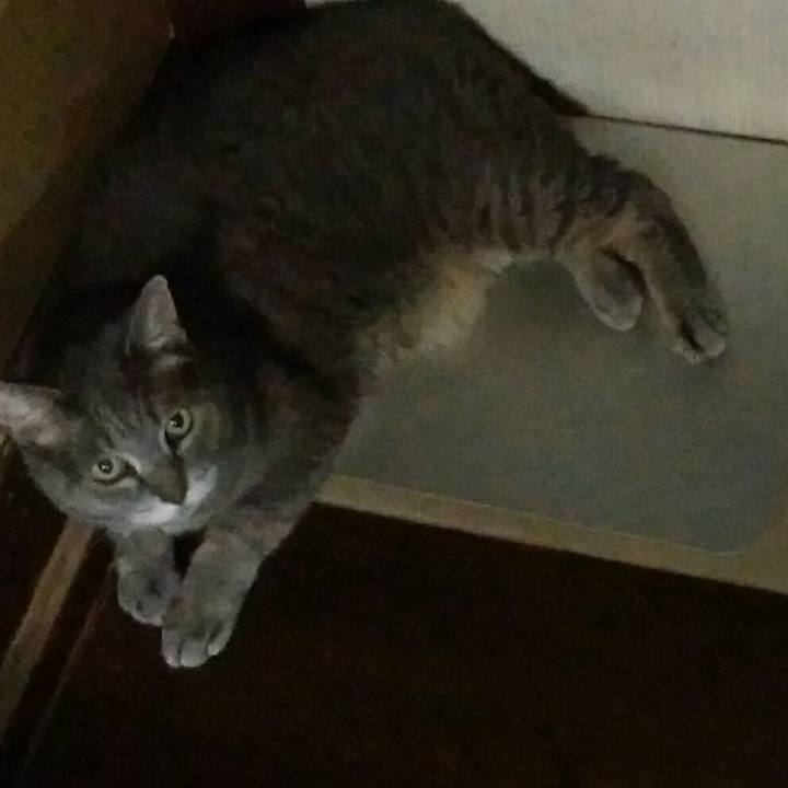 69fbddaa f44d 414e 954b 405c2ba3953b 1598612538058