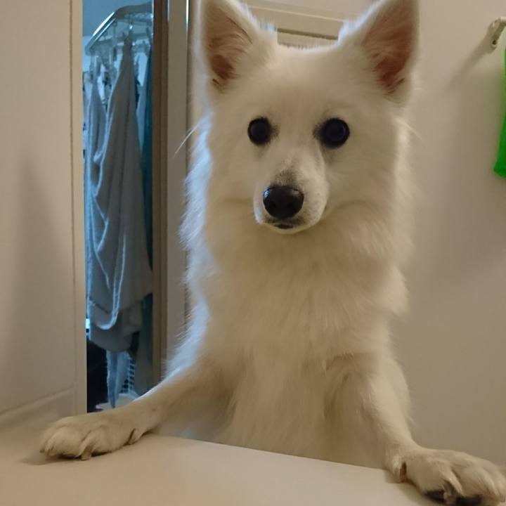 69fc1a8c 3c6c 4e99 b7f6 1959948433be 1517487071251