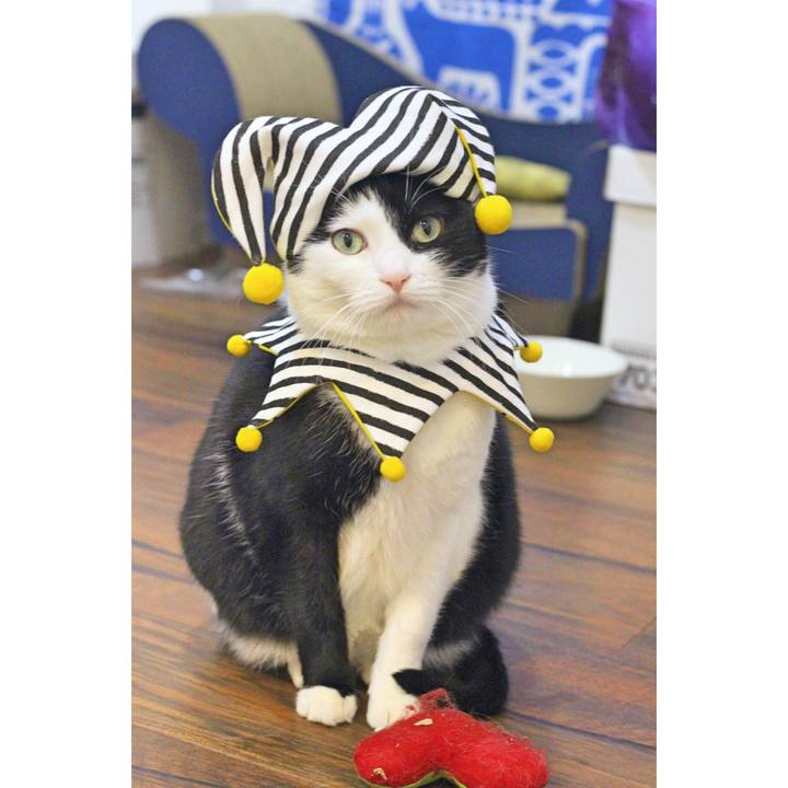 69fc5791 5127 4b7a a4c5 5da7a9a2ba27 1583365688959