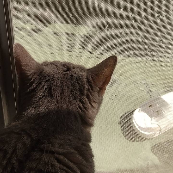 69fc6931 0dc0 44a5 982b 8c1ff2a557a6 1667715082138