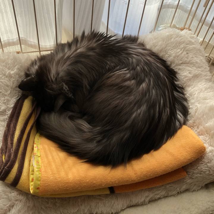 69fca9f7 a3e1 4c88 8b55 d08aa10742a7 1549155097874