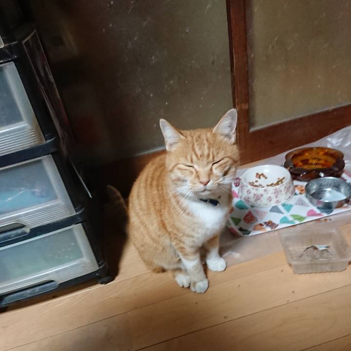 69fd19e3 6ffe 46a1 aefc db89cff87800 1605695318844