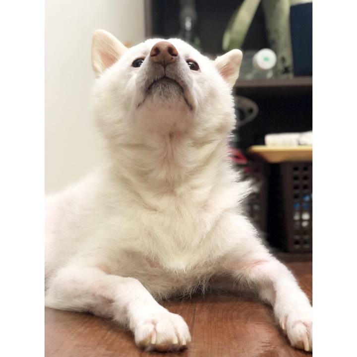 69fd43e6 7a25 4f1b a3a0 d9e530d54fd5 1559230493785