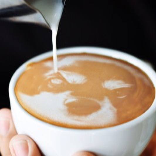 69fd475f 5d42 428e b652 26c6d800f60d 1511838166853