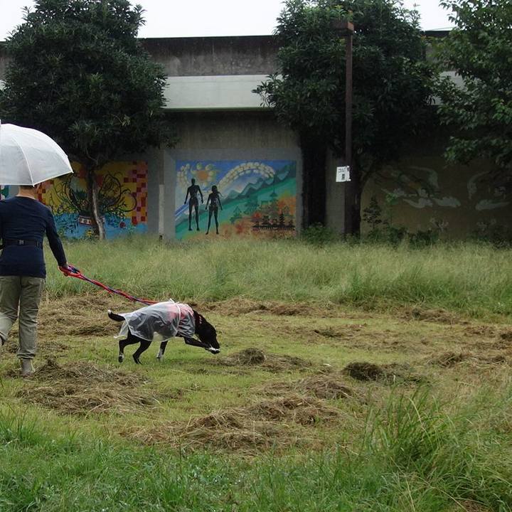 69fd743a 5ee8 484a 8283 91f40ecaf24c 1600907319999