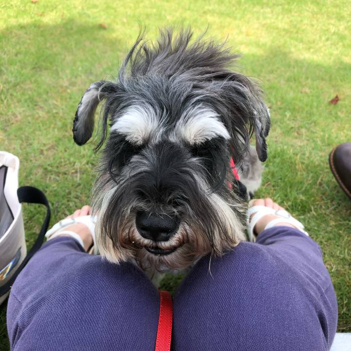 69fd80e4 2cb6 4a57 885c 00343eaef234 1593429321711