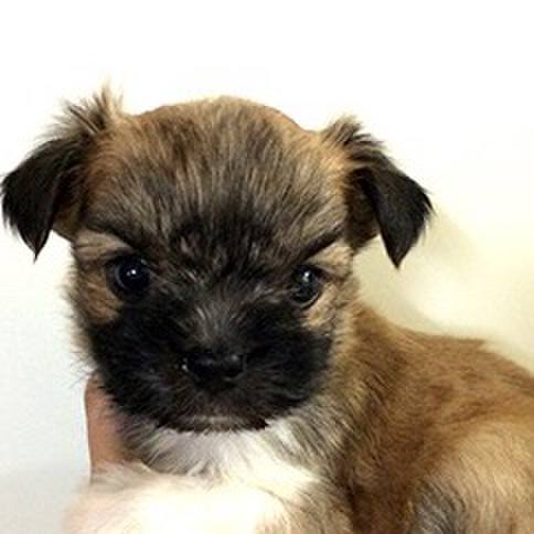 69fd90fa 1efc 487a bda3 103f963441ad 1528603401815