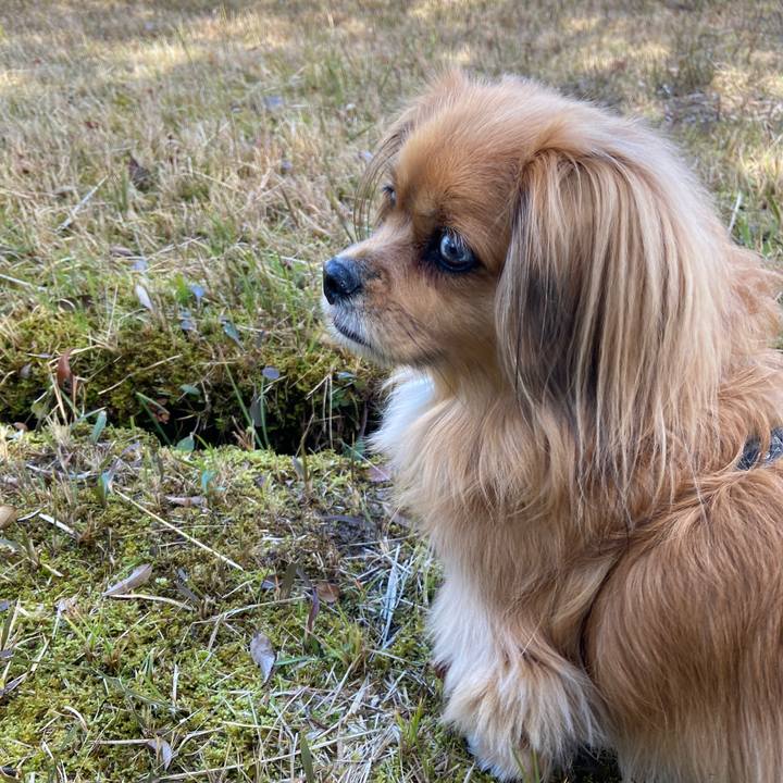 69fd9bb9 ee72 4e12 83ba 7beb717cc767 1640481970273