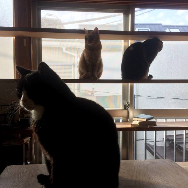 69fe0dbc b422 4017 8ca2 75f9778ab386 1516342000577