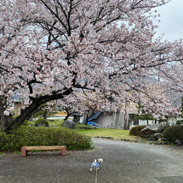 69fe1b7f 5202 42bf b546 590a1c719fc6 1648953983085