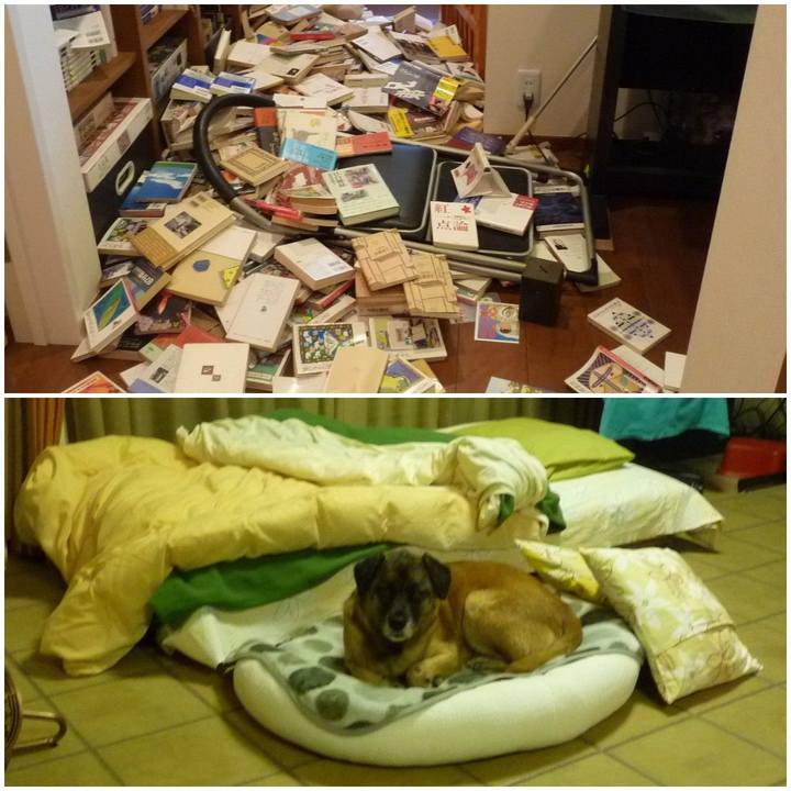 69fe287a f935 4e6a 9a30 9dc99be476a8 1577320929604