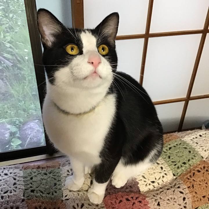 69fe420f e9ea 44e1 abca 2a25ee8e3be7 1651658009502