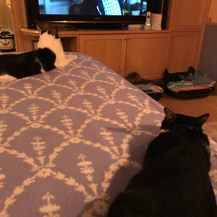 69fe61ca 8a02 49d6 8fed 8ef004ced1a6 1513516752089