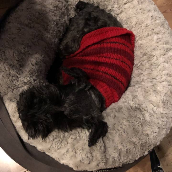 69fe9991 2f19 4861 b94c 3507956ad8ae 1547650907241