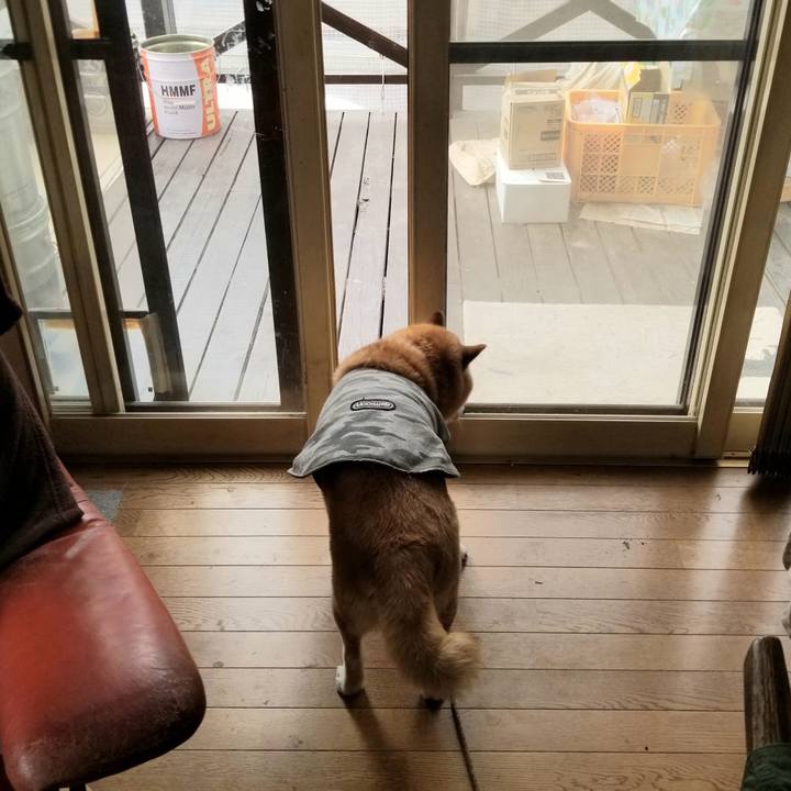 69feabe2 819c 4335 b5d2 72affd47b57e 1679181857980